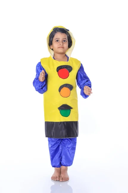 Traffic Light Fancy Dress Costume