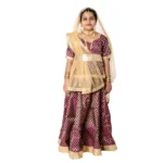 Classical Dance Kathak Costume Purple & Golden