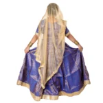 Kathak Dance Fancy Dress Costume Blue & Golden