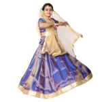 Kathak Dance Fancy Dress Costume Blue & Golden