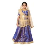 Kathak Dance Fancy Dress Costume Blue & Golden