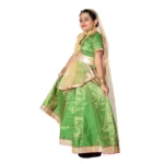 Kathak Dress Green Colour for Girls