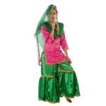 Sharara Dance Fancy Dress Costume Magenta & Green