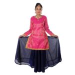 Indo western dance dress