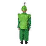 Palak Fancy Dress Costume