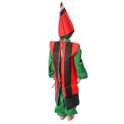 Pencil Fancy Dress Costume