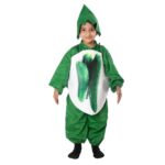 Cucumber Fancy Dress
