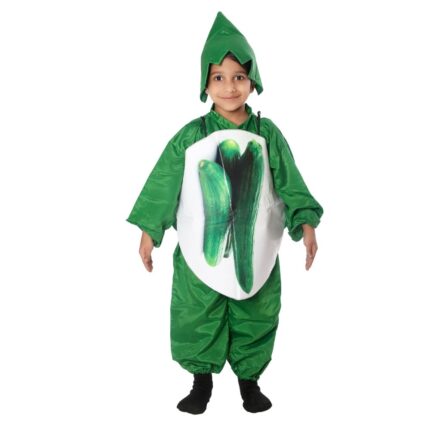 Cucumber Fancy Dress