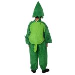 Cabbage Fancy Dress Costume