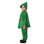 Cabbage Fancy Dress Costume