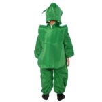 Grasshopper Fancy Dress Costume