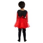 Western Dance Fancy Dress Frock