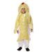 Golden Fish Fancy Dress Costume