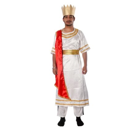 Roman king fancy dress