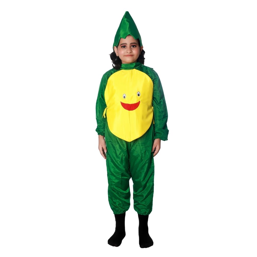 37 Pineapple Fruit Fancy Dress Costume