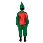 Tomato Fancy Dress Costume