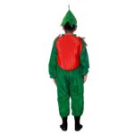 Strawberry Fancy Dress Costume