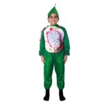 Kiwi Fancy Dress Costume