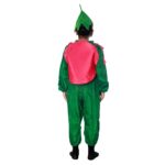 Kiwi Fancy Dress Costume