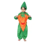 Carrot Fancy Dress Costume For Kids