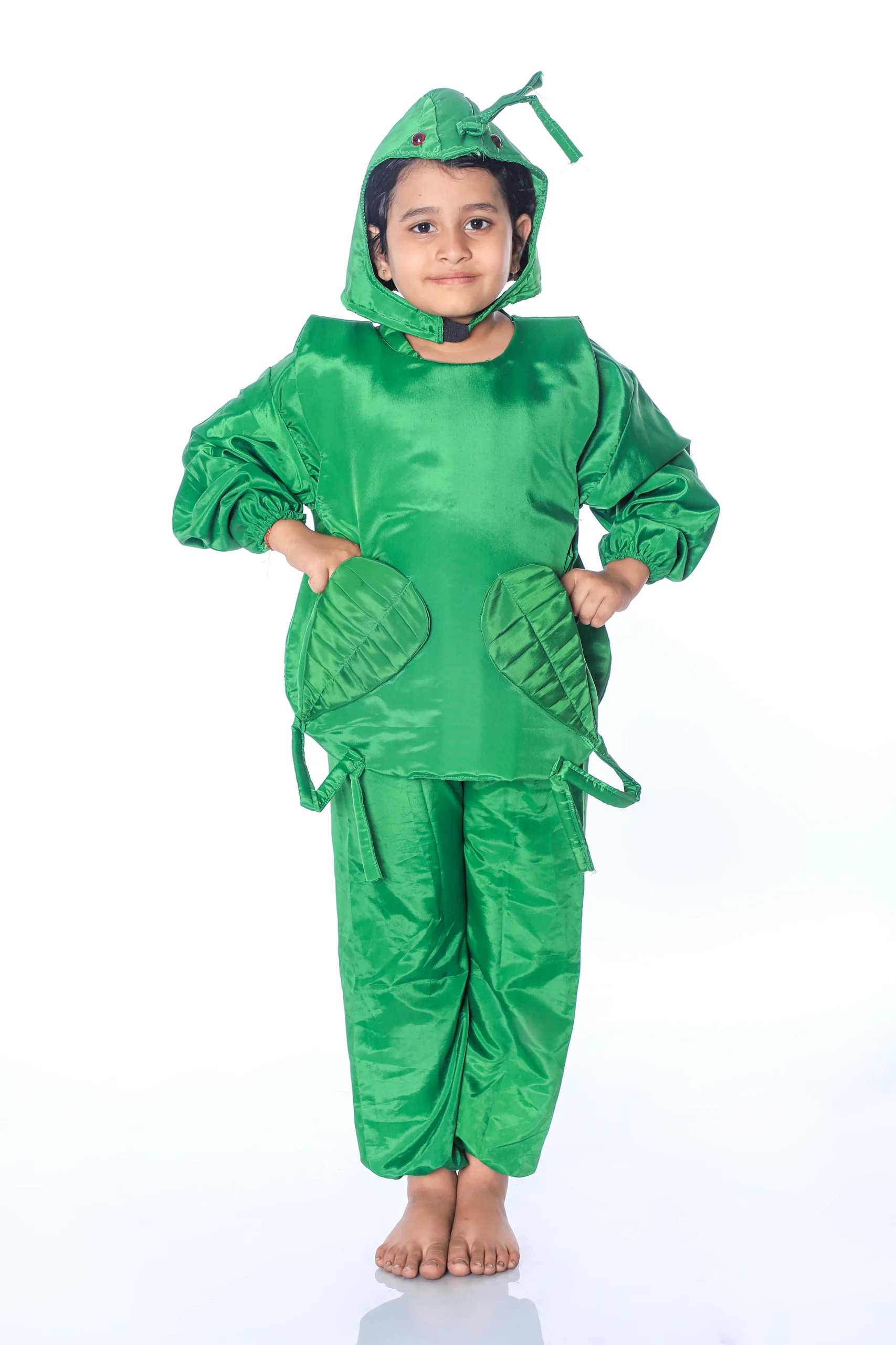 Caterpillar Fancy Dress Costume Front