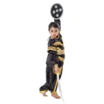 Chhau Dance Costume Black And Golden Color