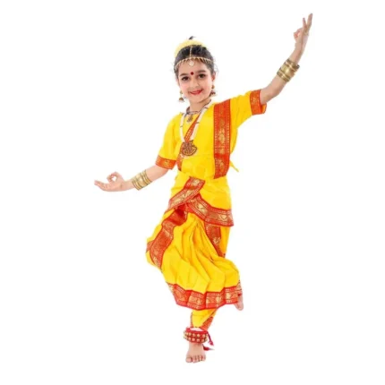 Classical Bharatanatyam Dance Dress Costume