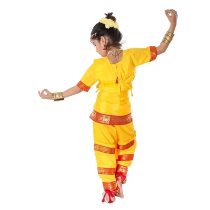 Classical Bharatanatyam Dance Dress Costume