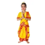 Classical Bharatanatyam Dance Dress Costume