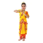 Classical Bharatanatyam Dance Dress Costume