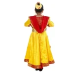 Classical Dance Kathak Anarkali Costume