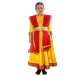 Classical Dance Kathak Anarkali Costume