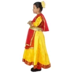 Classical Dance Kathak Anarkali Costume