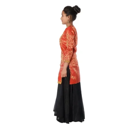 Contemporary & Indo Western Fancy Dress For Girls