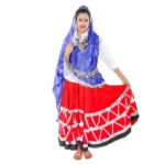 Daaman Fancy Dress