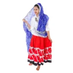Daaman Fancy Dress