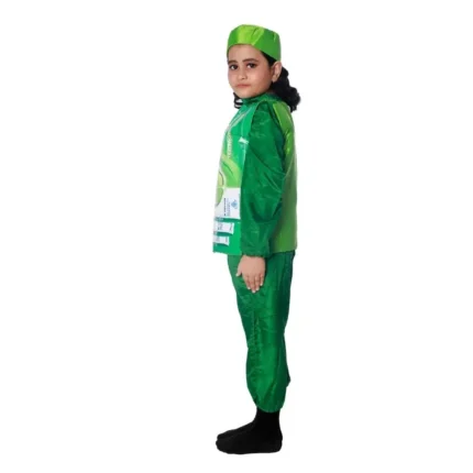 Dettol Fancy Dress Costume Green
