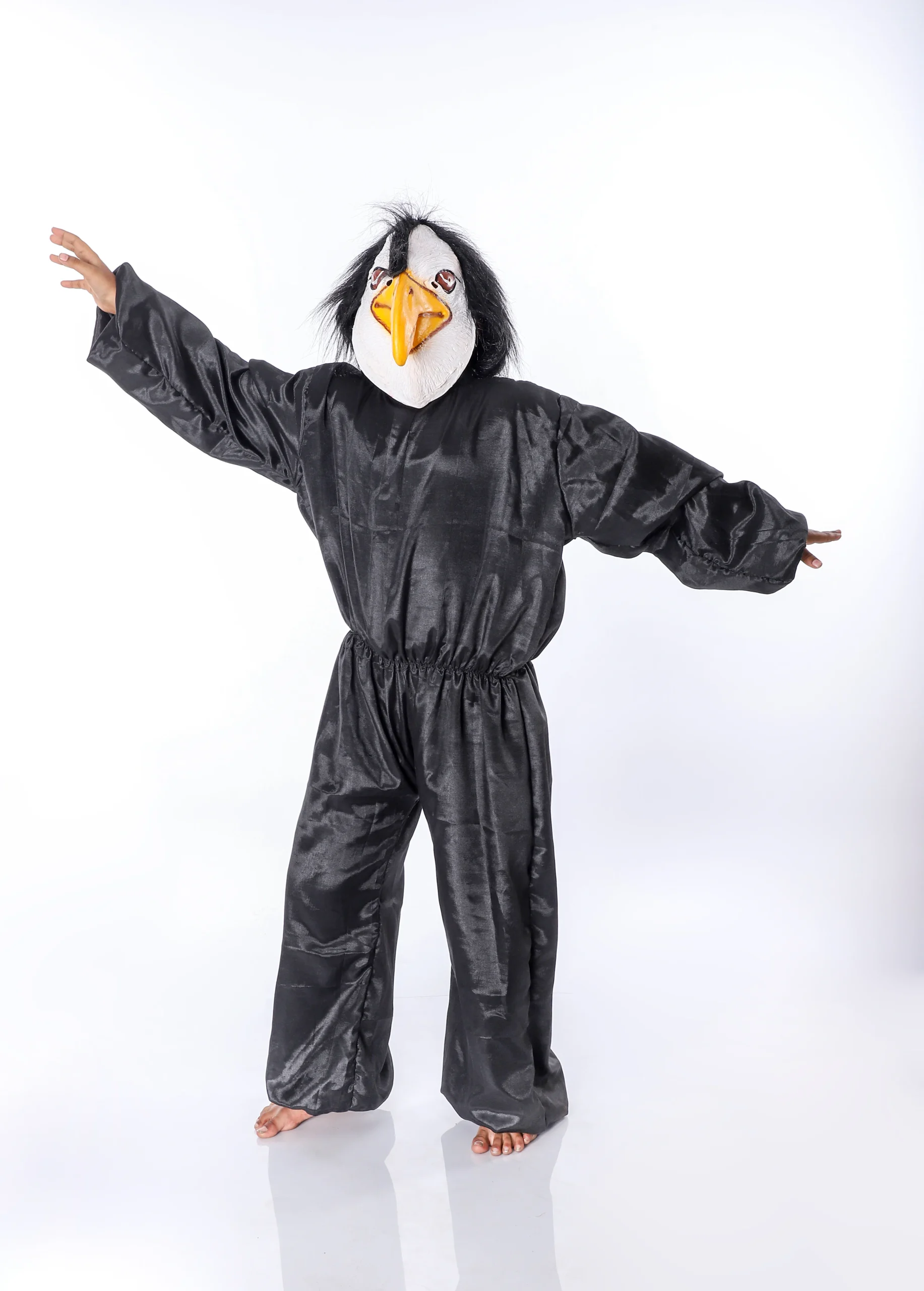 Eagle Birds Fancy Dress Costume Front Eagle Birds Fancy Dress Costume