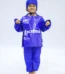 Facebook Fancy Dress Costume
