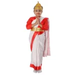 Goddess Saraswati Mata Fancy Dress Costume