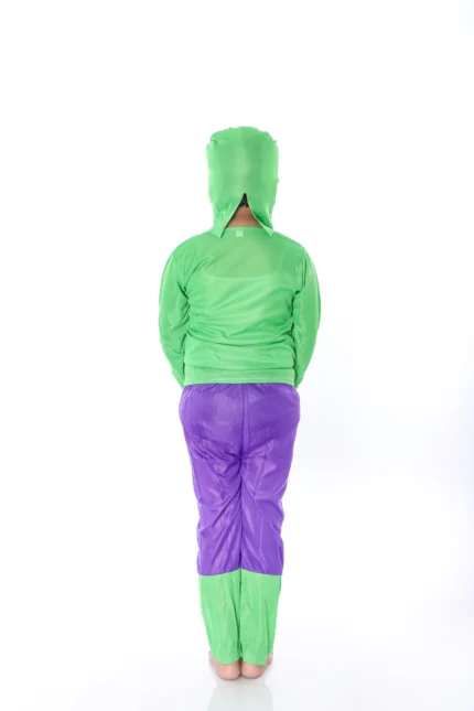Green Hulk Fancy Dress Costume