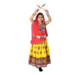Gujarati Garba Dance Chaniya Choli Fancy Dress Costume