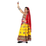 Gujarati Garba Dance Chaniya Choli Fancy Dress Costume