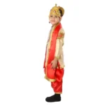 Hindu King Fancy Dance Costume For Boys