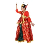 Hindu Rani Fancy Dress Costume For Girls