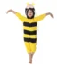 Honey Bee Fancy Dress Costume
