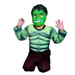 Hulk Fancy Dress Costume