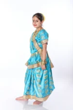 Indian Saree Fancy Dress Costume