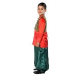 Indo Western Dance Kurta Harem with Jacket Dress