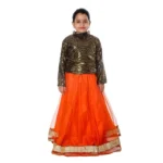 Indo Western Long Skirt Top Fancy Dress